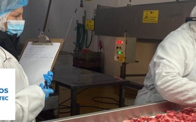 OTEC Chilealimentos Capacita: organismo de capacitación para diversas áreas de la Agroindustria